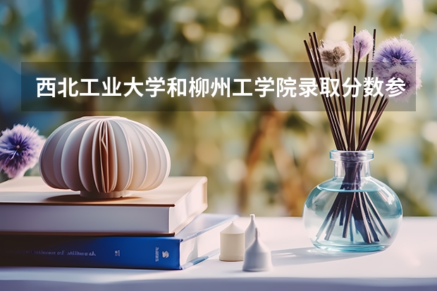 西北工业大学和柳州工学院录取分数参考