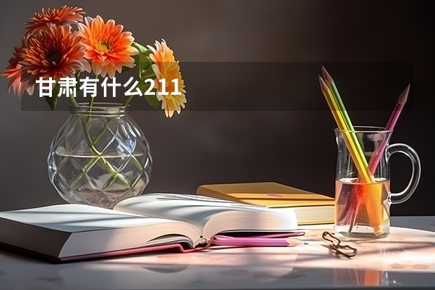 甘肃有什么211