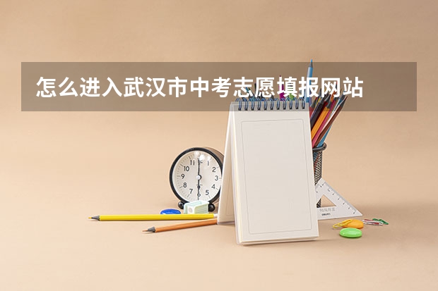 怎么进入武汉市中考志愿填报网站