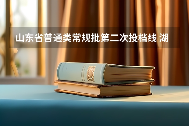 山东省普通类常规批第二次投档线 湖南省投档规则