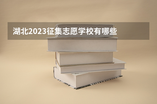 湖北2023征集志愿学校有哪些