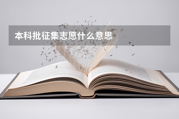 本科批征集志愿什么意思