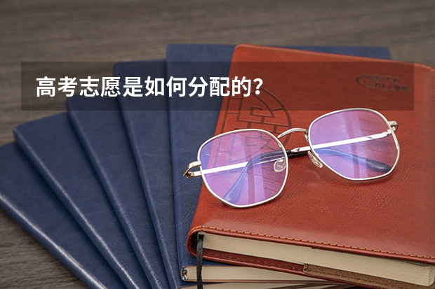 高考志愿是如何分配的？