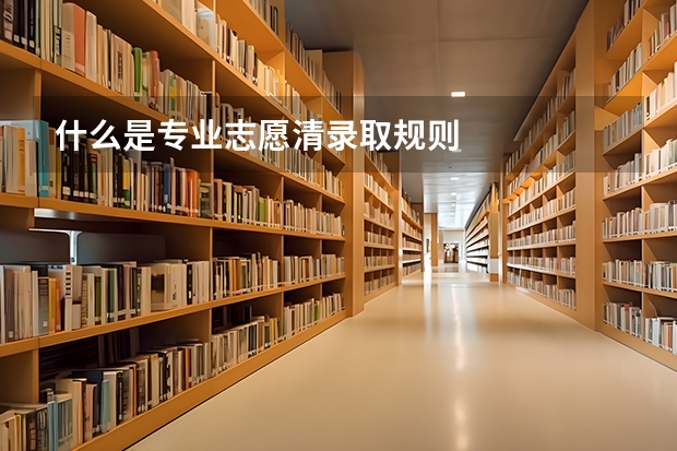什么是专业志愿清录取规则