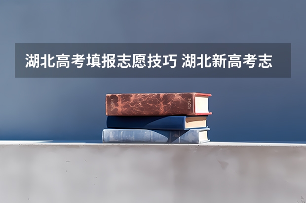 湖北高考填报志愿技巧 湖北新高考志愿填报技巧和方法高晓声？