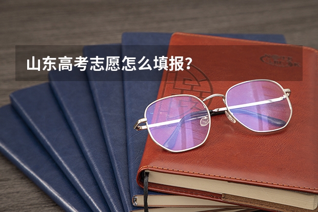 山东高考志愿怎么填报？