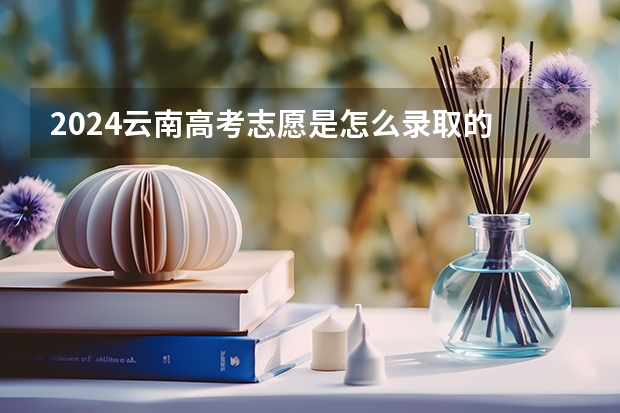 2024云南高考志愿是怎么录取的 录取原则和顺序是什么