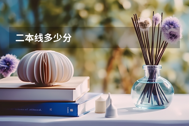 二本线多少分