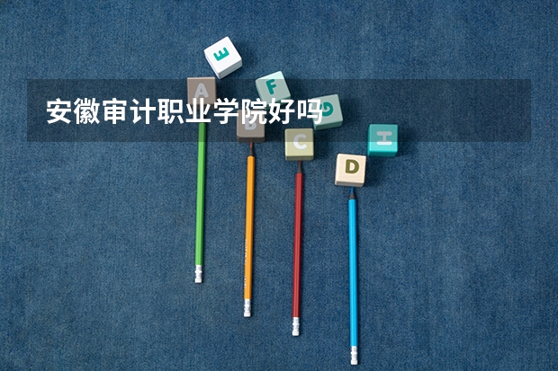 安徽审计职业学院好吗