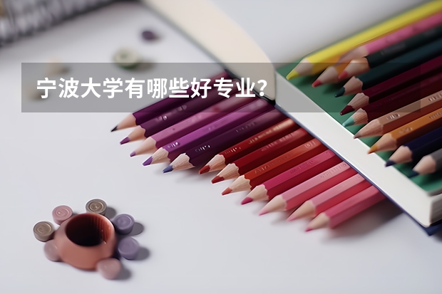宁波大学有哪些好专业？