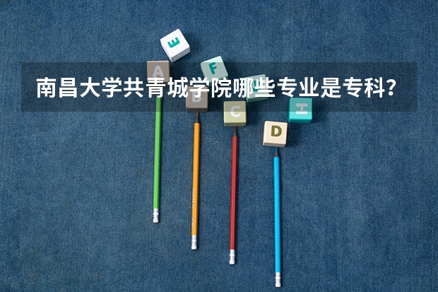 南昌大学共青城学院哪些专业是专科？