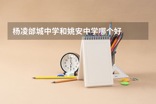 杨凌邰城中学和姚安中学哪个好