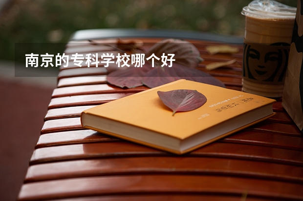 南京的专科学校哪个好