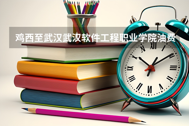 鸡西至武汉武汉软件工程职业学院油费多少
