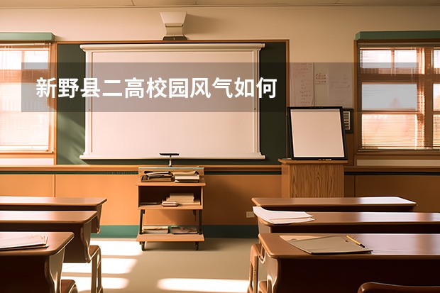 新野县二高校园风气如何