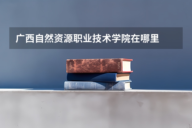 广西自然资源职业技术学院在哪里