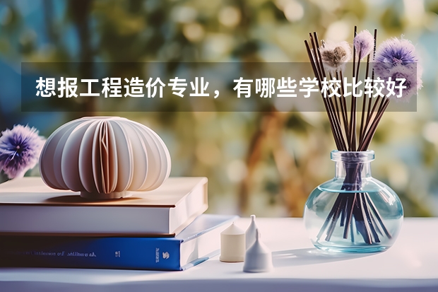 想报工程造价专业,有哪些学校比较好?