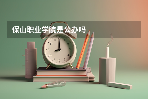 保山职业学院是公办吗