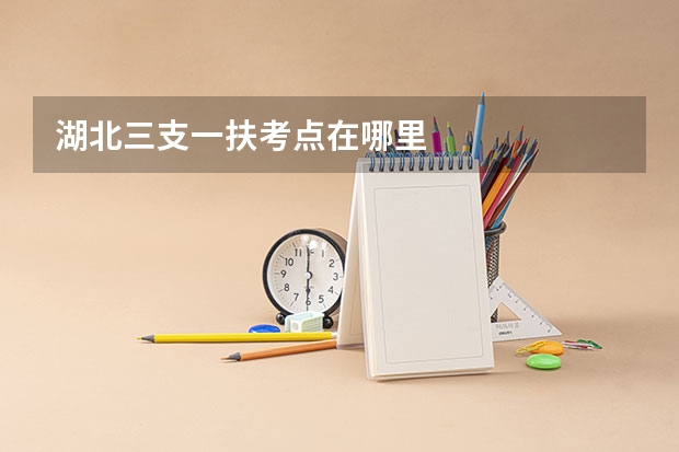 湖北三支一扶考点在哪里