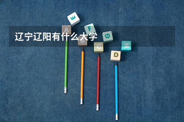 辽宁辽阳有什么大学