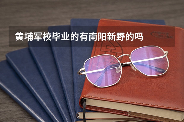 黄埔军校毕业的有南阳新野的吗