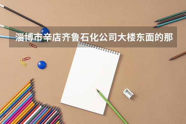 淄博市辛店齐鲁石化公司大楼东面的那个职业学院叫什么名字，什么性质的学校？