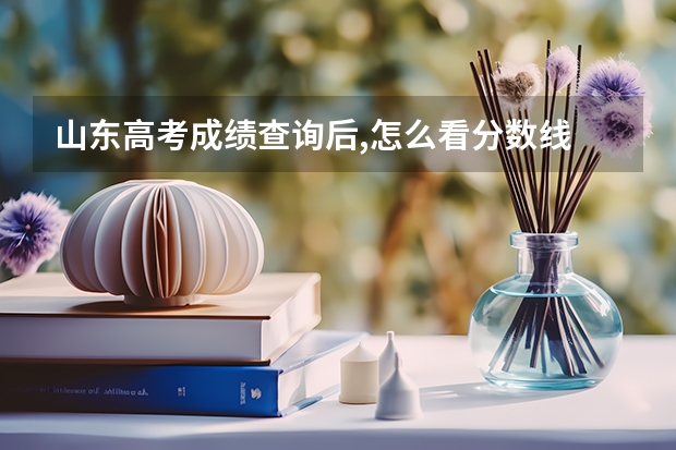 山东高考成绩查询后,怎么看分数线