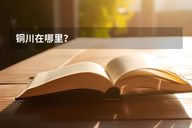 铜川在哪里？