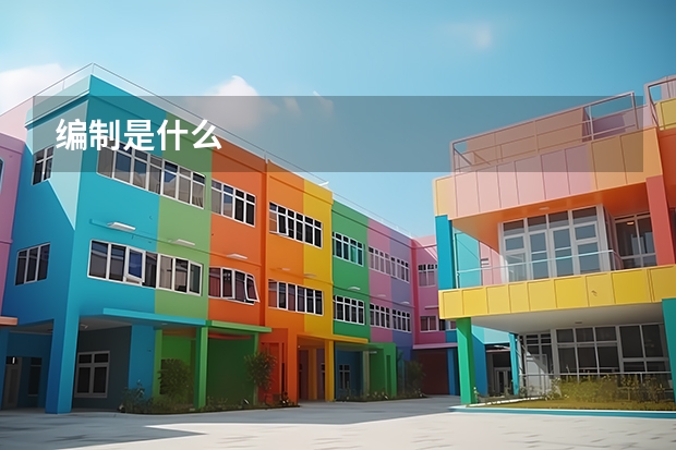 编制是什么