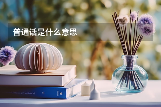 普通话是什么意思