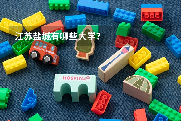 江苏盐城有哪些大学？