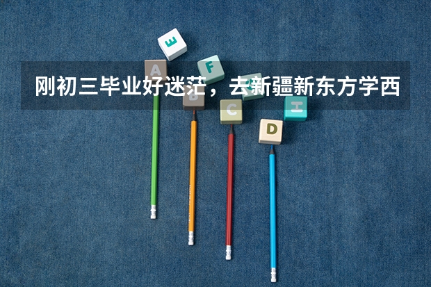 刚初三毕业好迷茫，去新疆新东方学西点行吗