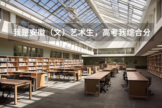 我是安徽（文）艺术生，高考我综合分510分，有哪个学校能录取我？