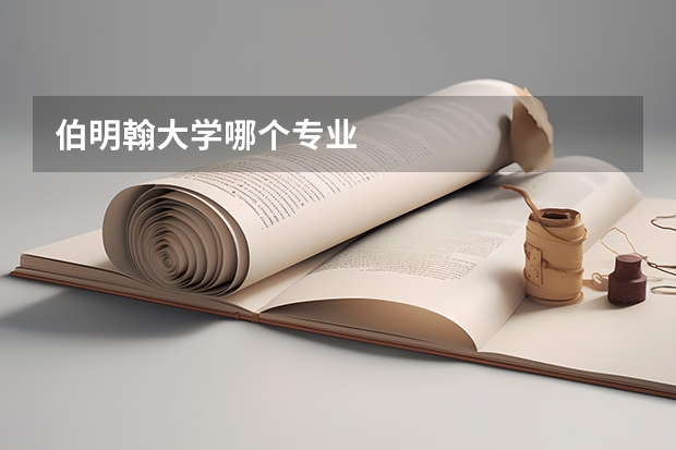 伯明翰大学哪个专业