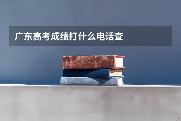 广东高考成绩打什么电话查