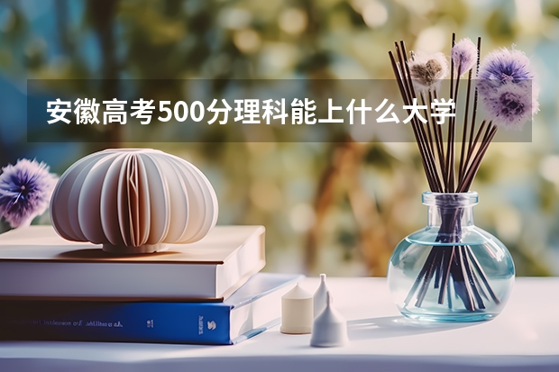 安徽高考500分理科能上什么大学
