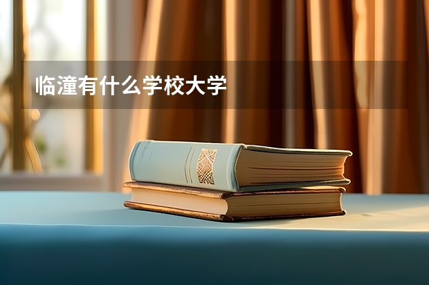 临潼有什么学校大学