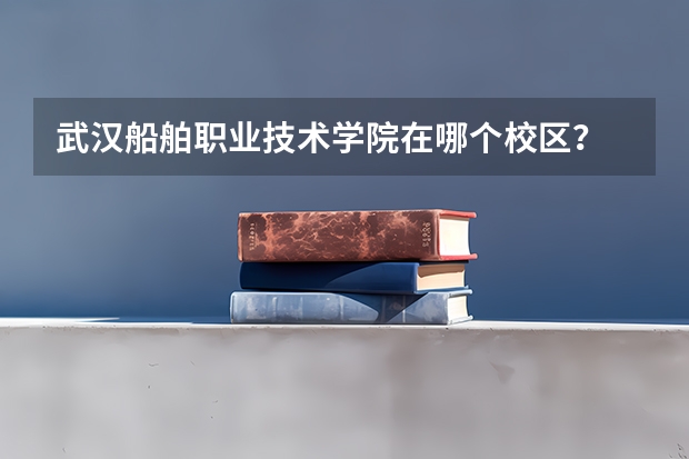 武汉船舶职业技术学院在哪个校区？