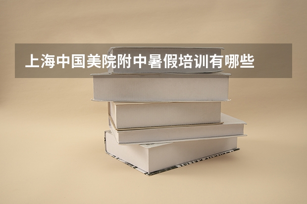 上海中国美院附中暑假培训有哪些
