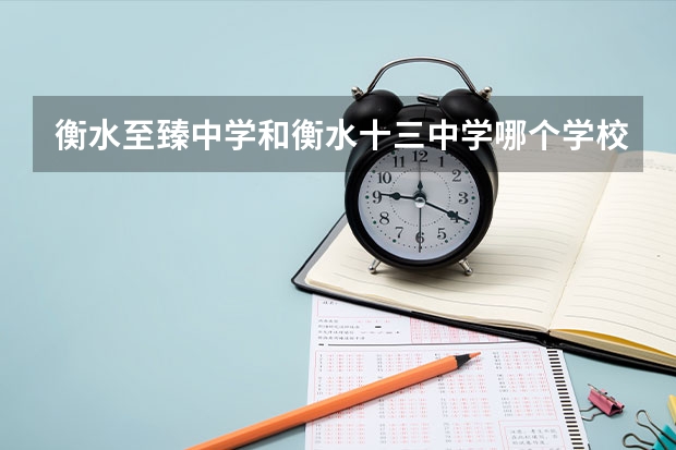 衡水至臻中学和衡水十三中学哪个学校高考成绩好