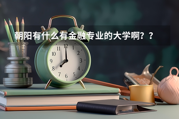 朝阳有什么有金融专业的大学啊？？
