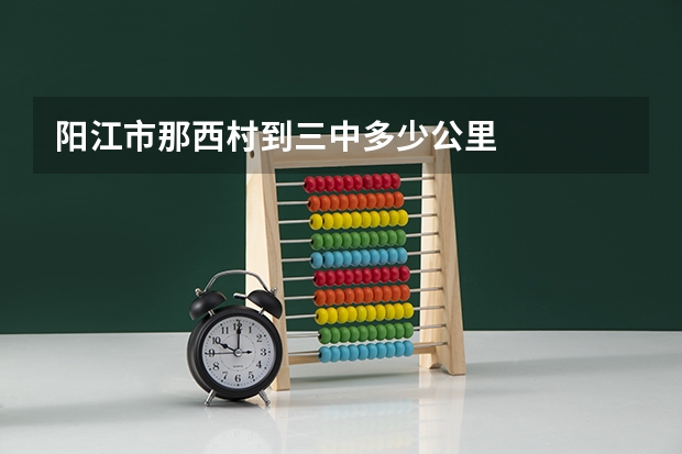 阳江市那西村到三中多少公里