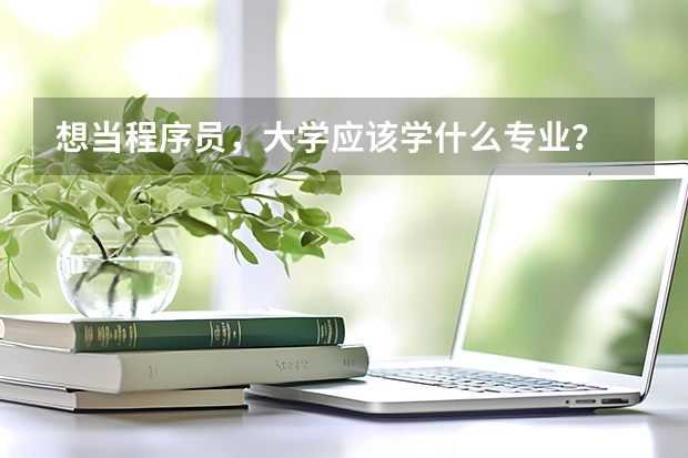 想当程序员，大学应该学什么专业？
