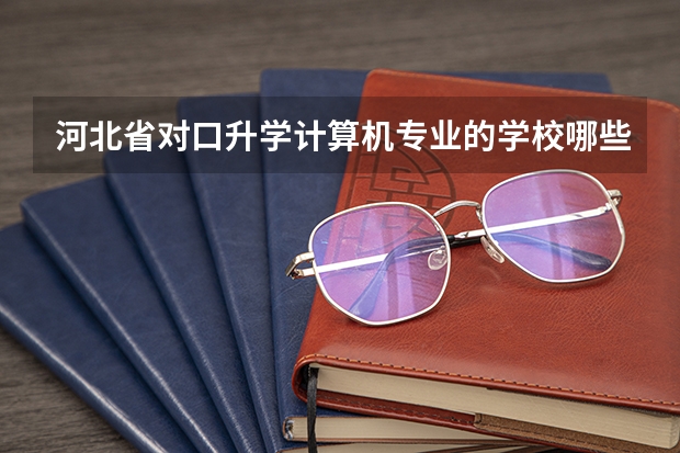河北省对口升学计算机专业的学校哪些比较好？