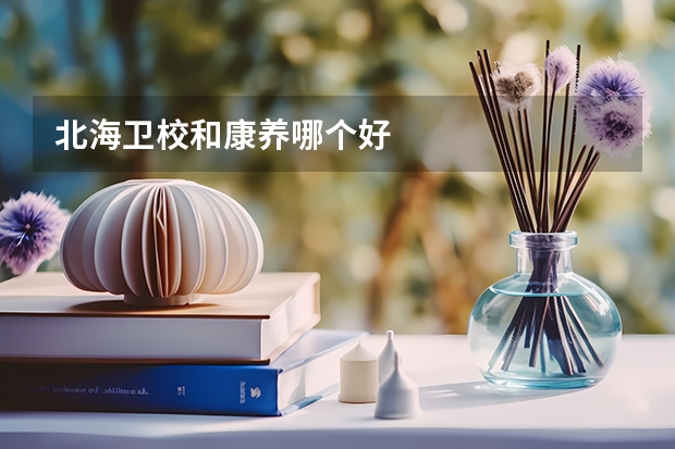 北海卫校和康养哪个好