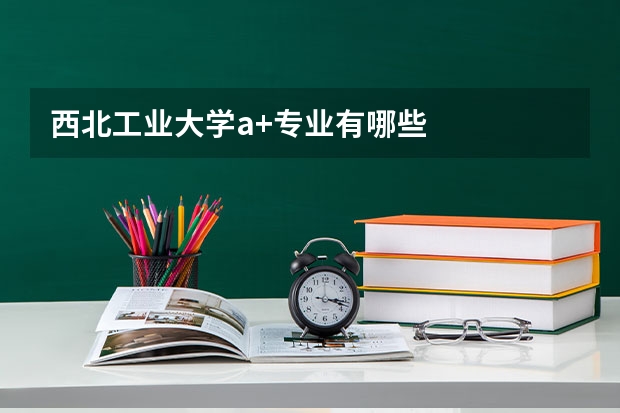 西北工业大学a+专业有哪些