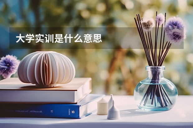 大学实训是什么意思