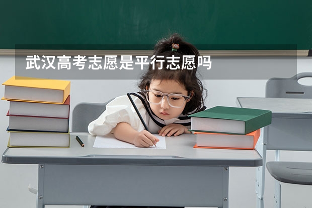 武汉高考志愿是平行志愿吗