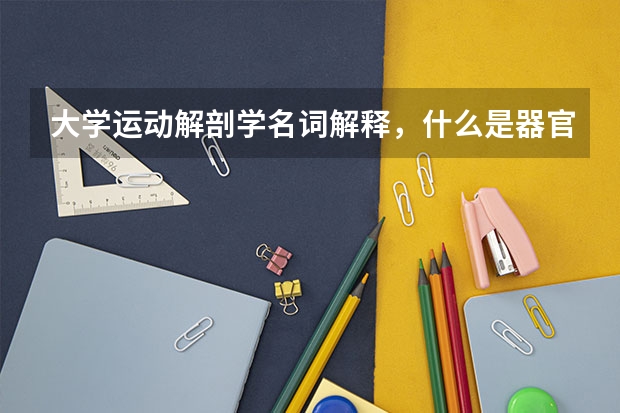 大学运动解剖学名词解释，什么是器官