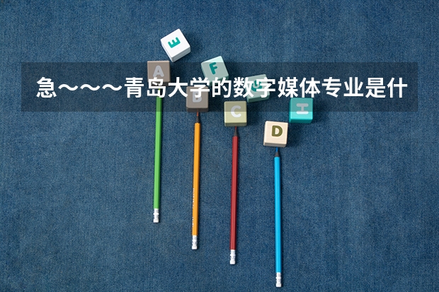 急～～～青岛大学的数字媒体专业是什么性质的？为什么在那个软件技术职业学院呢？属于那个试点本科么？